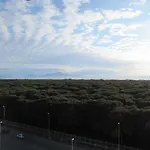 酒店 Le Dune 3*