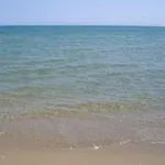 Le Dune 卡斯特沃托诺